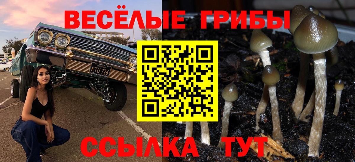 Галлюциногенные грибы мухоморы  Вход с VPN  что такое   Трёхгорный 